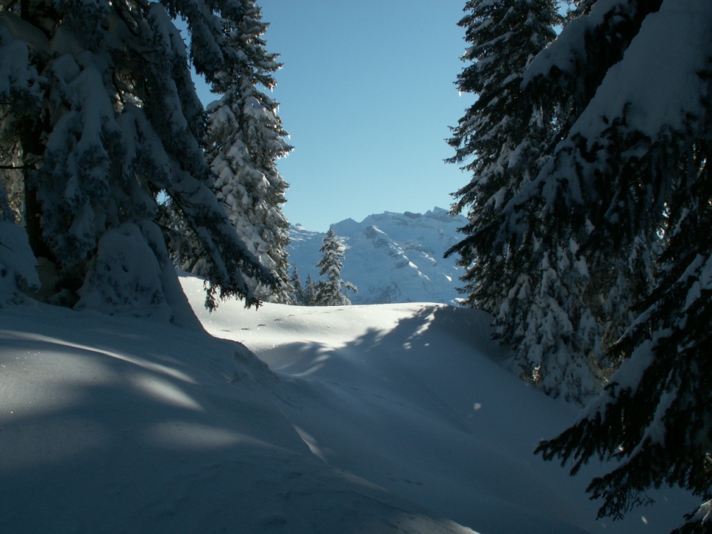 Junfräulicher Tiefschnee