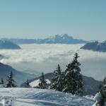 Nebel bedeckt den Vierwaldstättersee, in der mitte der Pilatus