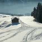 hier führen alle Spuren wieder zusammen