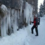 Mäusi bestaunt die Eiszapfen