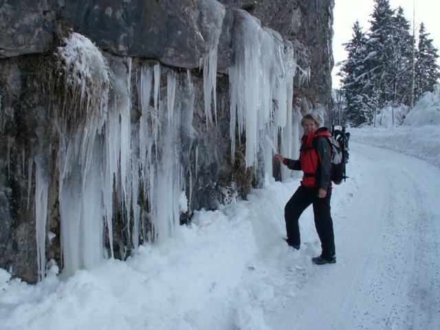 Mäusi bestaunt die Eiszapfen