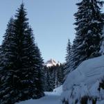 der Schülberg ist schon an der Sonne