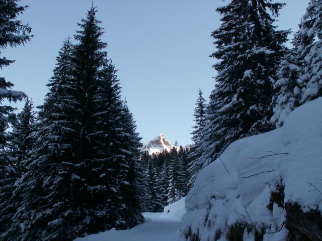 der Schülberg ist schon an der Sonne