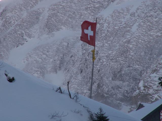 rote Fahne auf weissem Grund