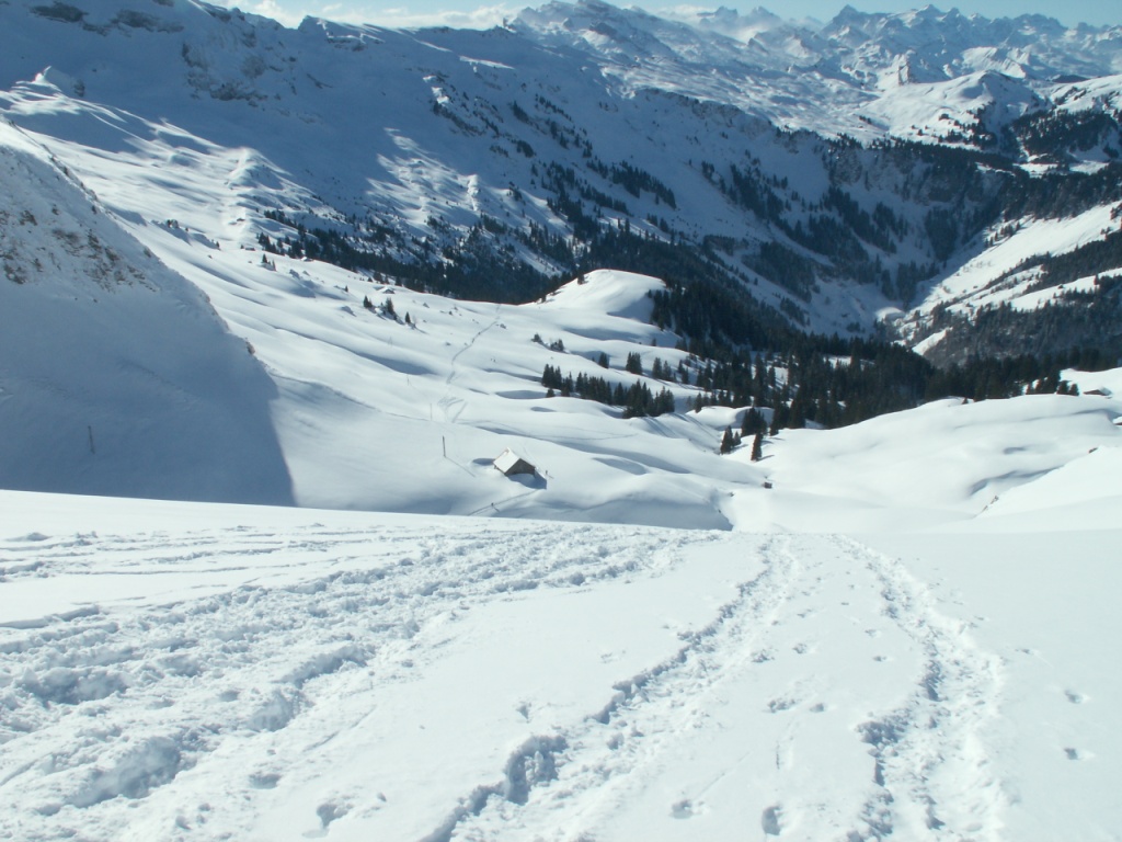 Blick Richtung Druesberg Hütte