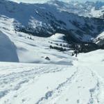 Blick Richtung Druesberg Hütte