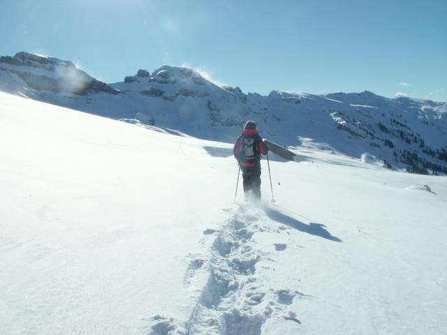 einsam ziehen wir unsere Spur im neuem Tiefschnee