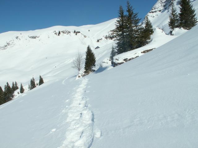 Blick zurück Richtung Lehhütte