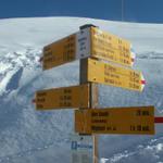 Wegweiser bei der Druesberg Hütte