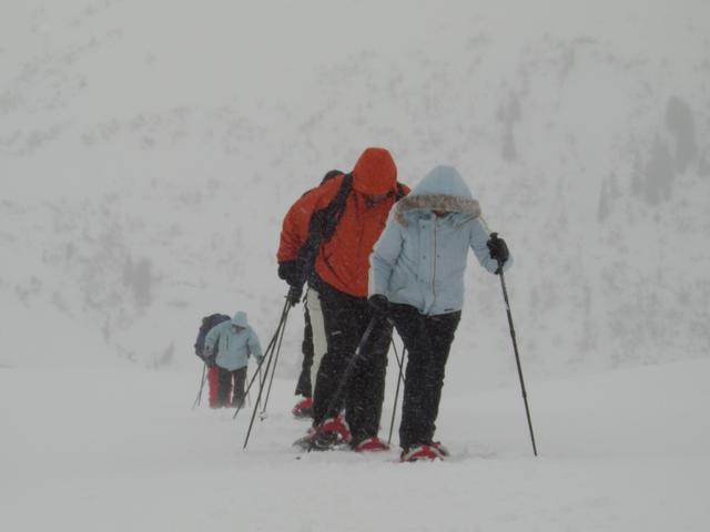 die anderen kommen auch schon