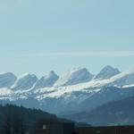 von weitem sieht man die noch schneebedeckten Churfirsten