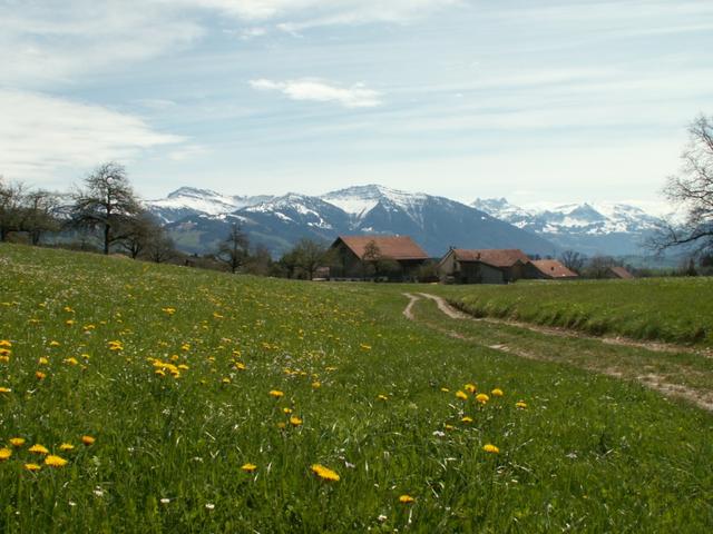 kurz vor St.Gallenkappel