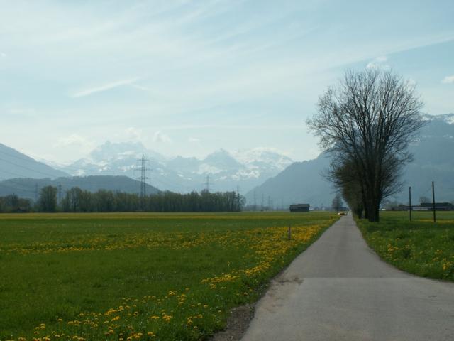 Blick Richtung Glarner Alpen