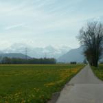 Blick Richtung Glarner Alpen