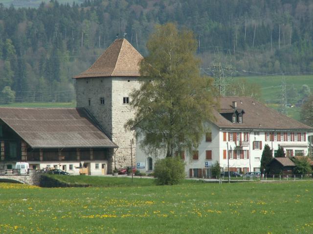 Schloss Grinau