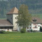 Schloss Grinau