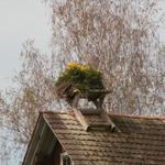 Storchennest mit Blumen