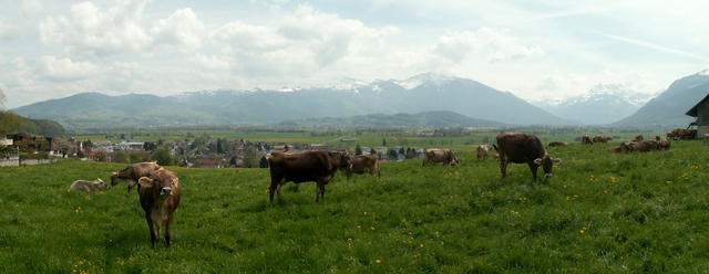 Breitbildfoto von Tuggen