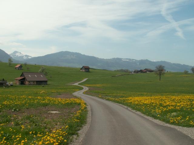 über blühende Wiesen Richtung Richtung Paradies