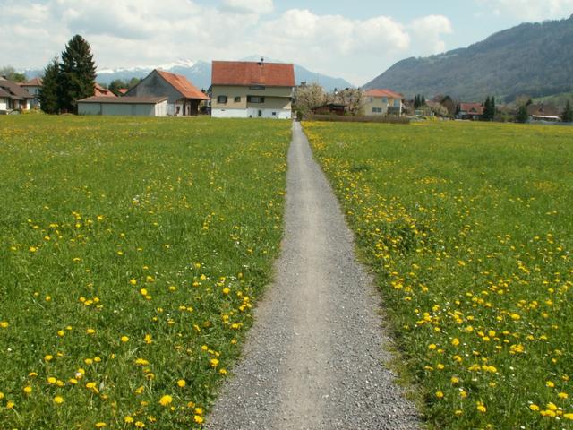 Blick zurück