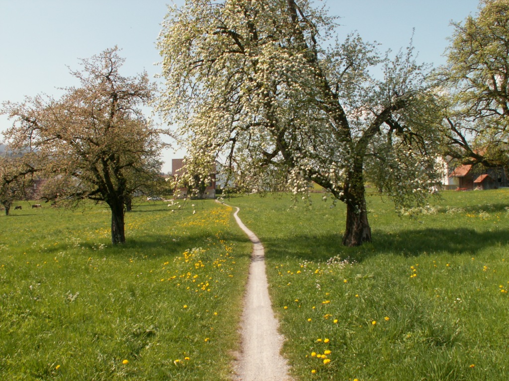 der Weg ist das Ziel