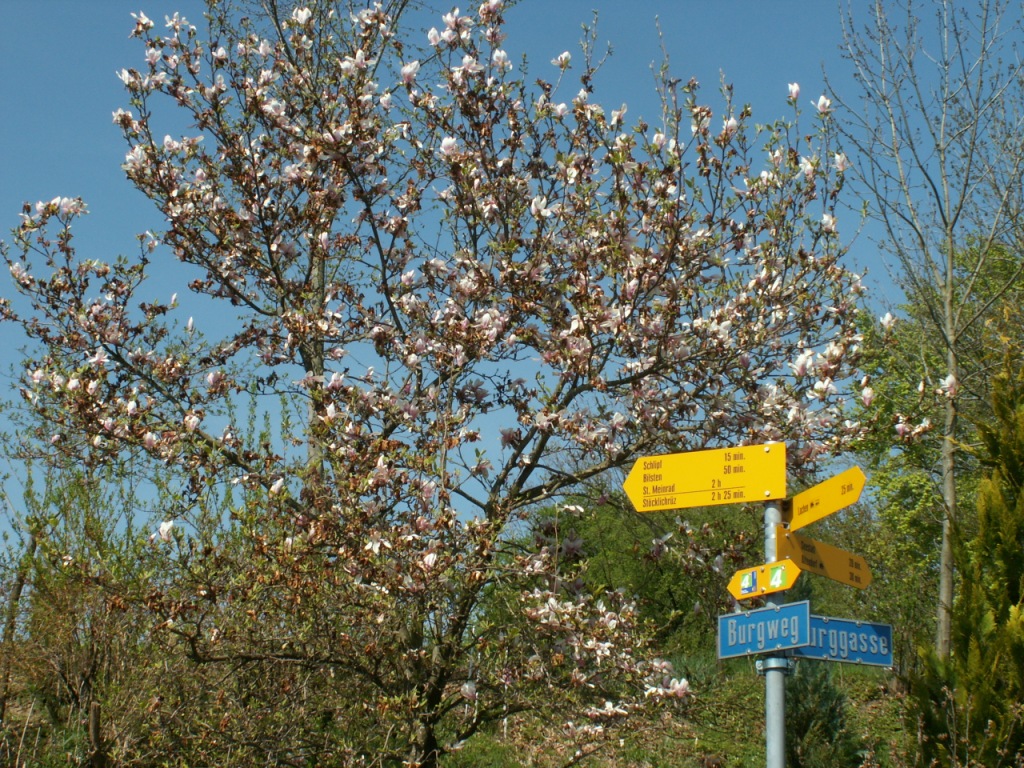 Wegweiser bei der St. Johann Kapelle