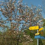 Wegweiser bei der St. Johann Kapelle