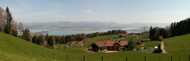 Breitbildfoto bei Schwändi mit Blick zum Zürichsee