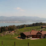 Breitbildfoto bei Schwändi mit Blick zum Zürichsee