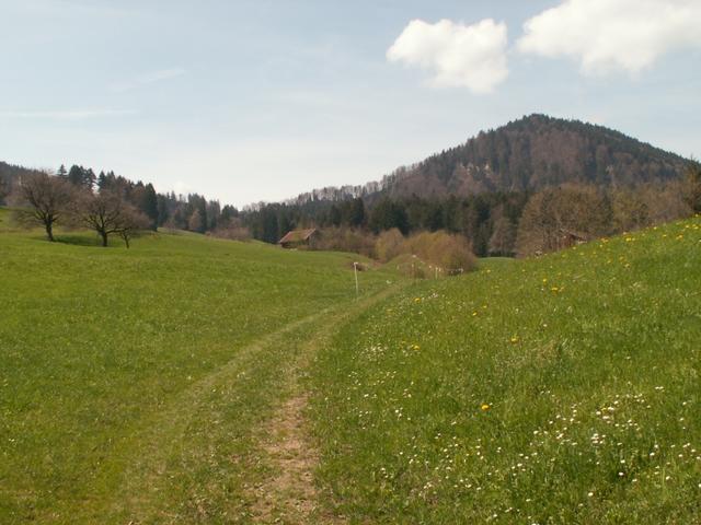 Oberschwändi