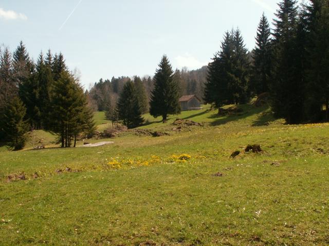 eine wirklich schöne Gegend