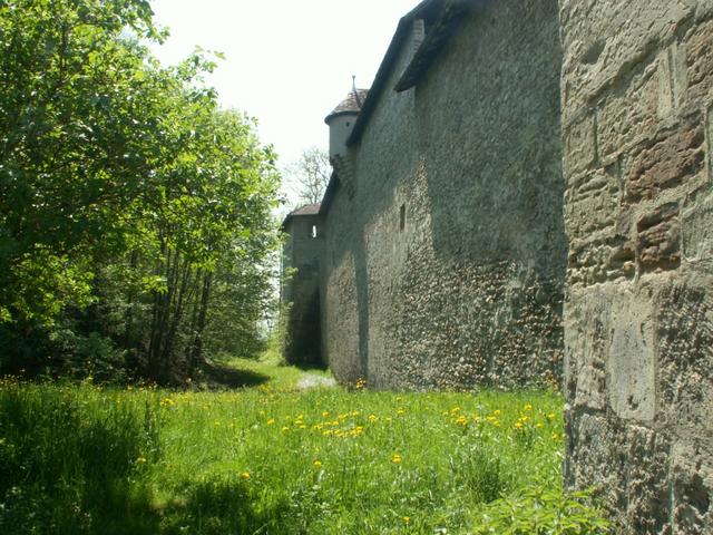 alte Stadtmauer von Fribourg