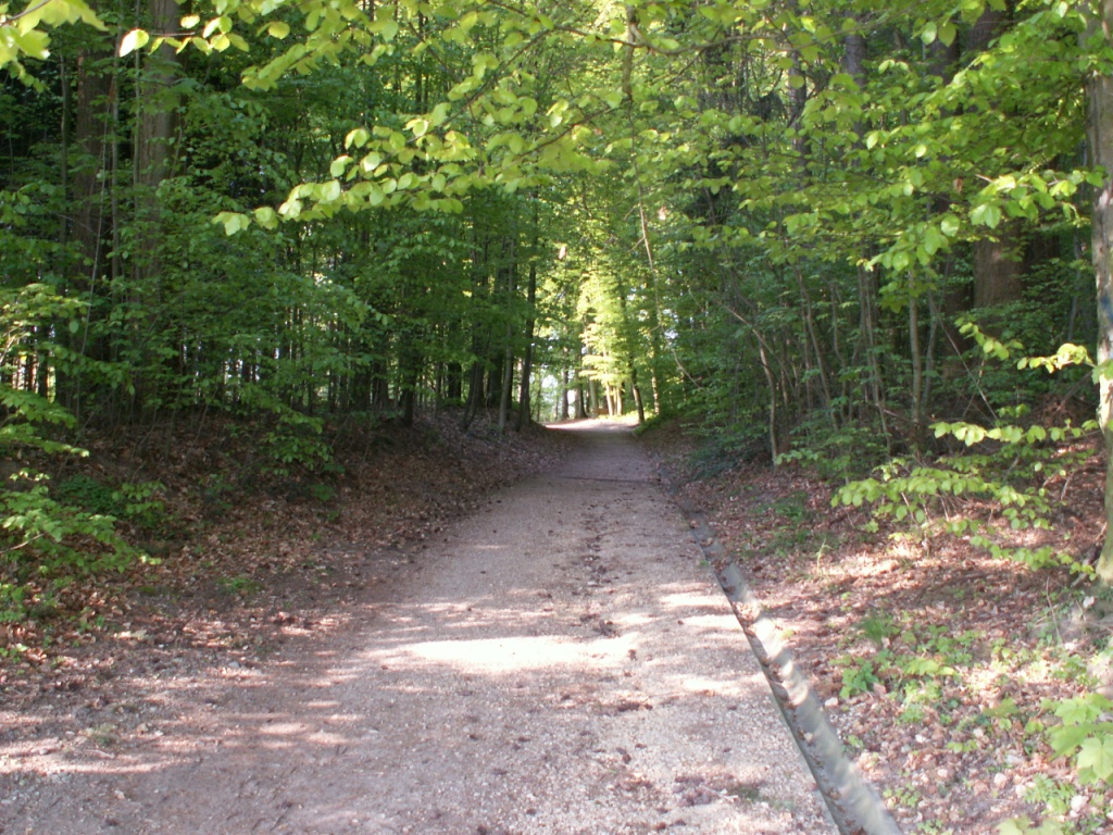 unser Weg führt weiter nach Villars sur Glâne