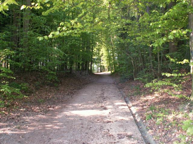 unser Weg führt weiter nach Villars sur Glâne