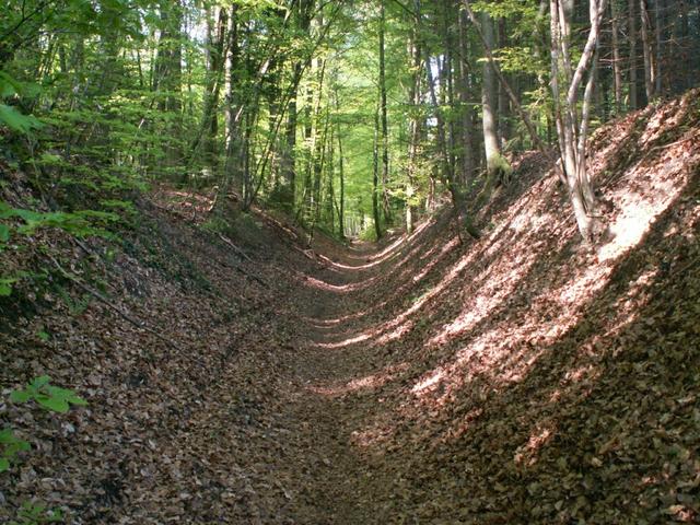 und Wälder