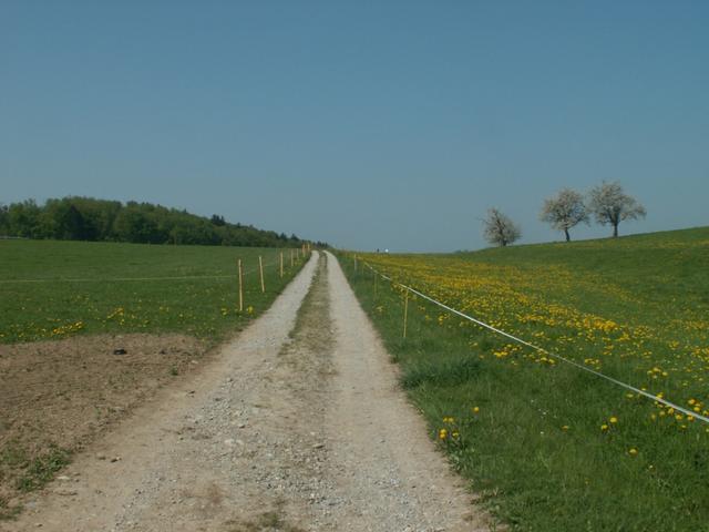 am Flugplatz von Écuvillens vorbei