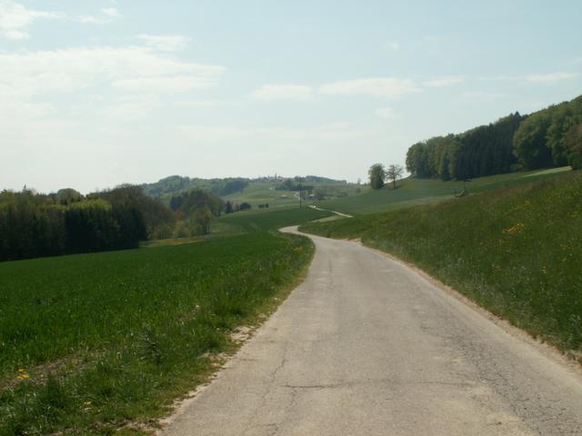 weiter Richtung Romont. Im Hintergrund Berlens