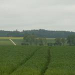 es geht über Felder und Wiesen