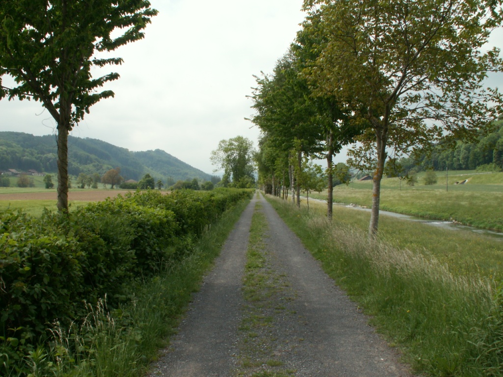 an der Broye entlang, kurz vor Moudon