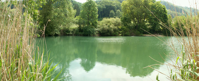 kleiner Weiher