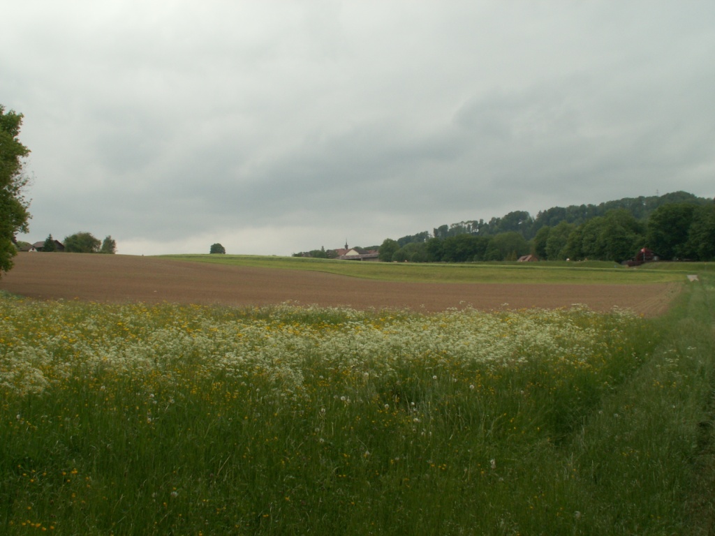 auf dem Weg Richtung Syens