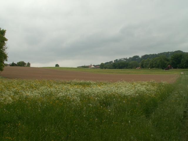 auf dem Weg Richtung Syens