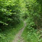 hier waren die Wegweiser fast nicht mehr zu sehen