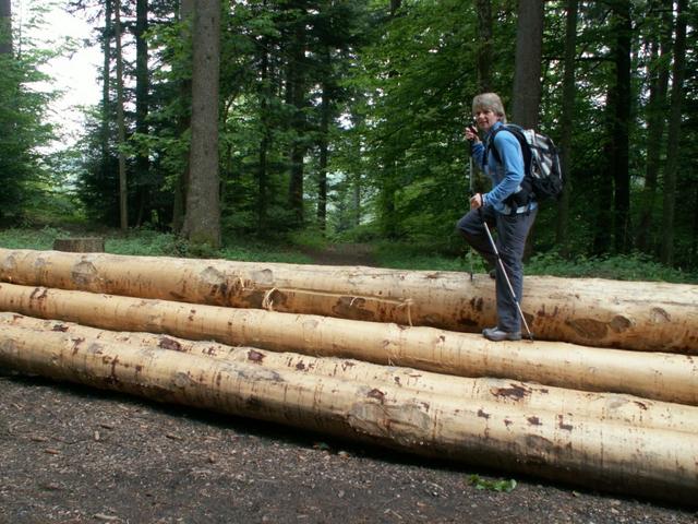 Hindernisse auf dem Jakobsweg werden schnell überwunden