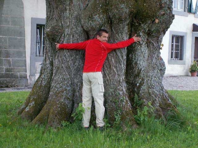 Franco beim riesigen Lindenbaum