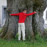 Franco beim riesigen Lindenbaum