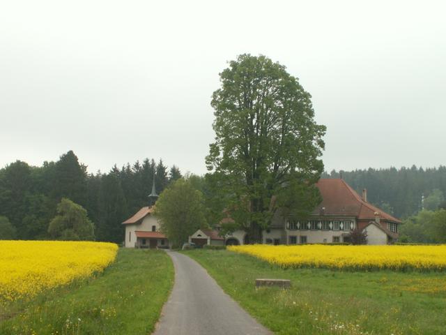 Blick zurück