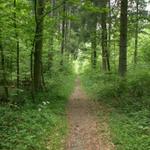 alles geradeaus Richtung Chalet à Gobet