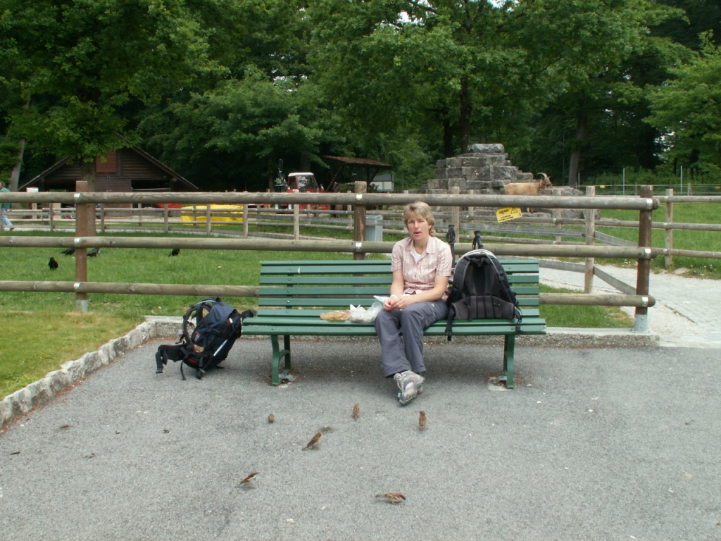 Mittagessen im Park