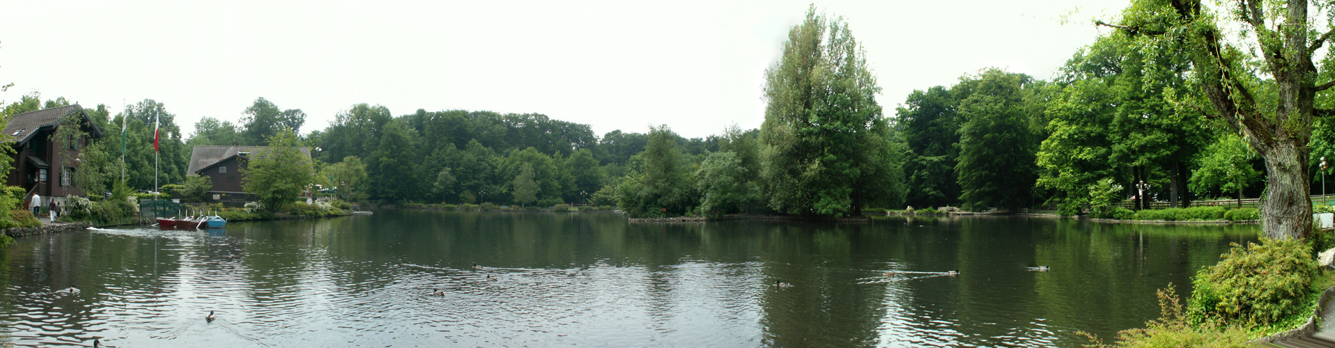 Breitbildfoto vom Lac de Sauvabelin